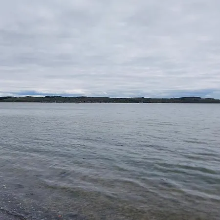 Drachen * Alt Reddevitz